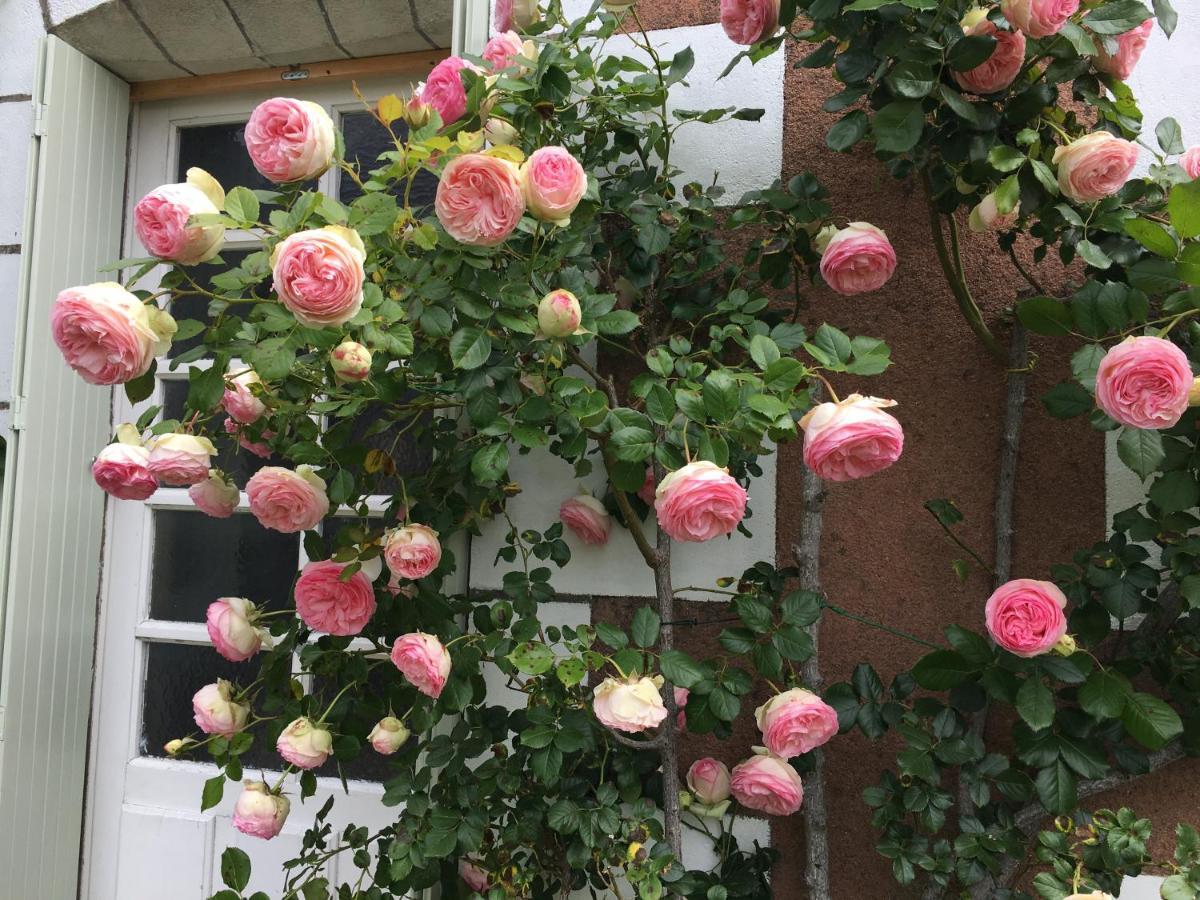 La Bauldiniere Bed & Breakfast Tauxigny Dış mekan fotoğraf